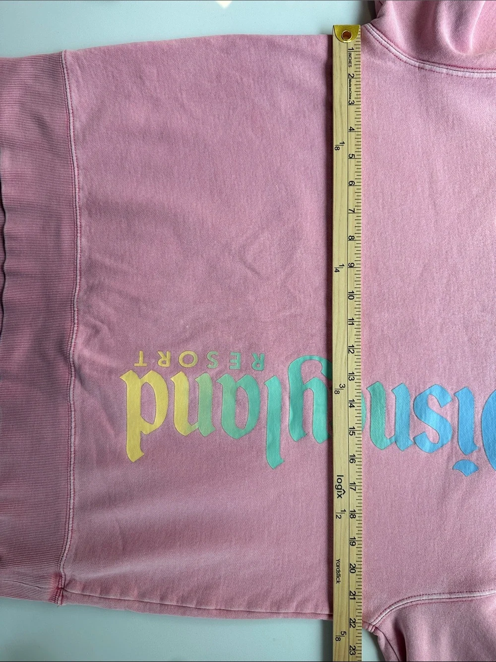 Disney Disneyland Resort Pink Crewneck Sweatshirt with Rainbow Vertical Logo